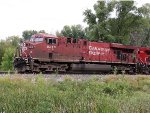 CP 8810